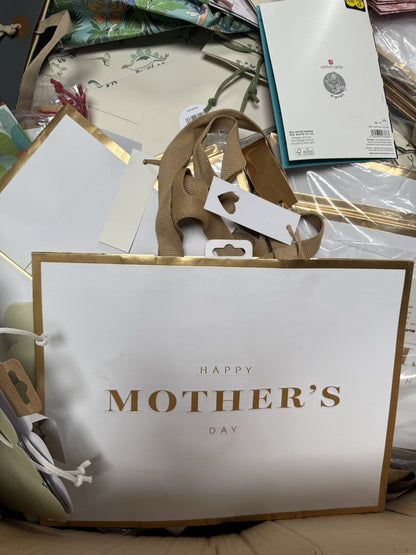 Seasonal Gift Bags Joblot Wholesale Overstock 500 Bags